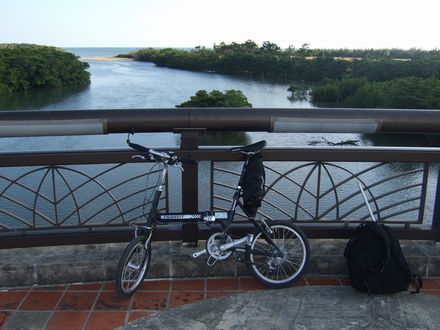 �{�ǐ�̃}���O���[�u